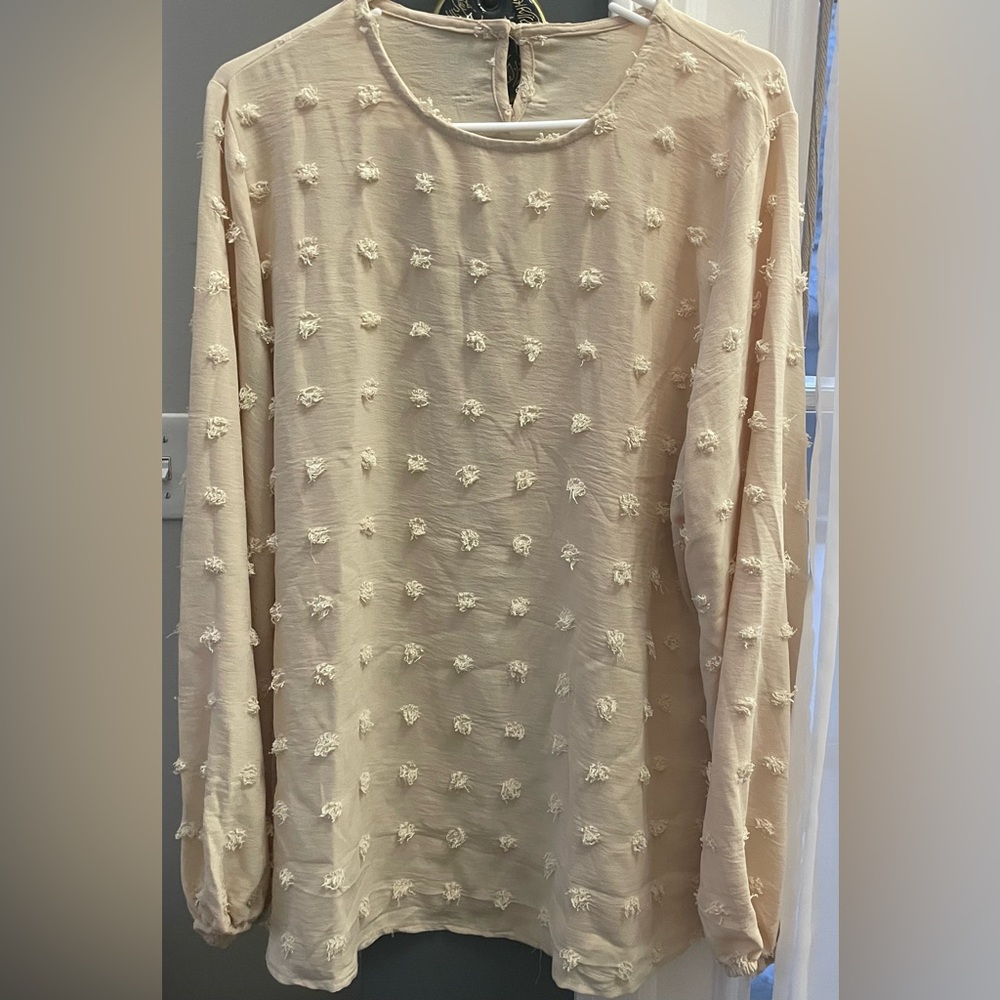 New without tag Casual/former Top, Women's Plus Swiss Dot Long Sleeve Round Neck